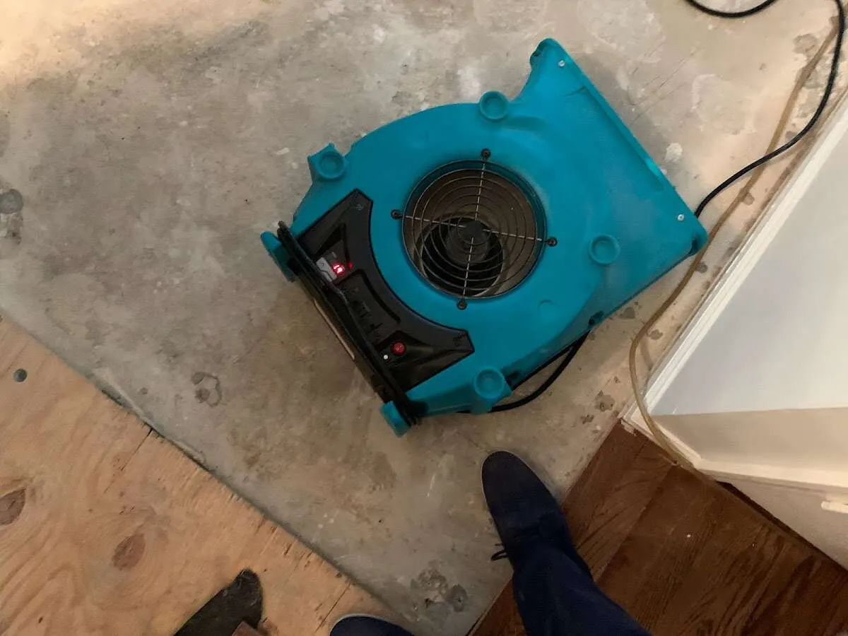 Air mover drying subfloor during Leak Detection & Repair in Hawthorne